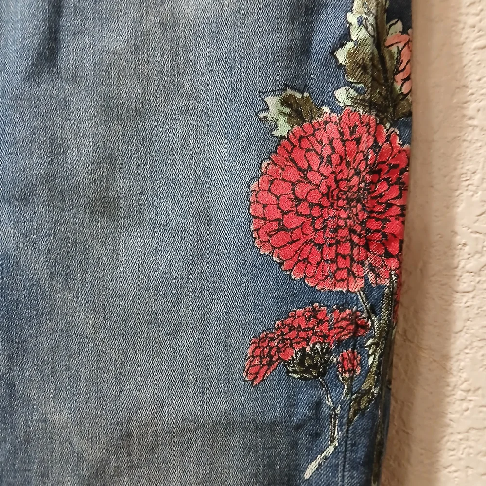 Zara Blue Skinny Jeans with Red Floral Embroidery - Picture 2 of 8